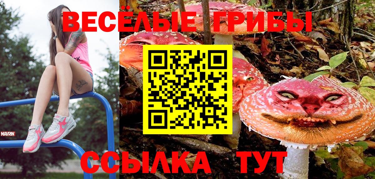 Псилоцибиновые грибы GOLDEN TEACHER  Вход с VPN  Качканар 